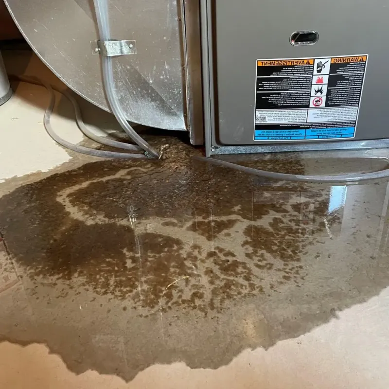 Pipe Burst and Leak Restoration in Westover, AL