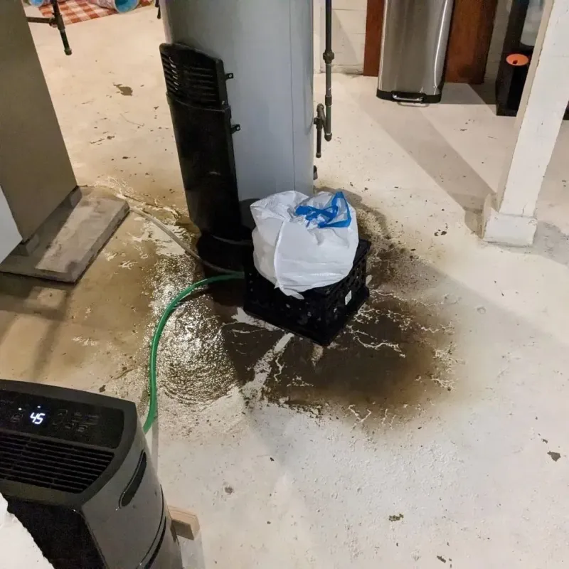 Sewage Backup Cleanup Service in Westover, AL